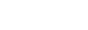naturalsoap-logo